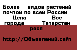 Более200 видов растений почтой по всей России › Цена ­ 100-500 - Все города  »    . Татарстан респ.